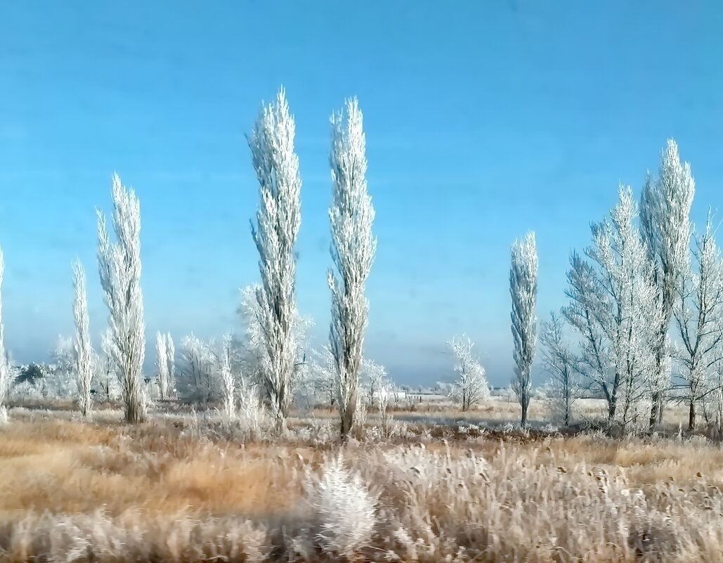 Юг России. - Сергей Дружаев