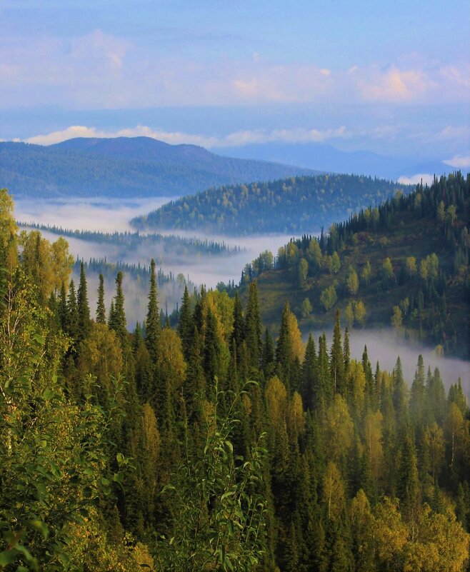 Туман в речной долине - Сергей Чиняев 