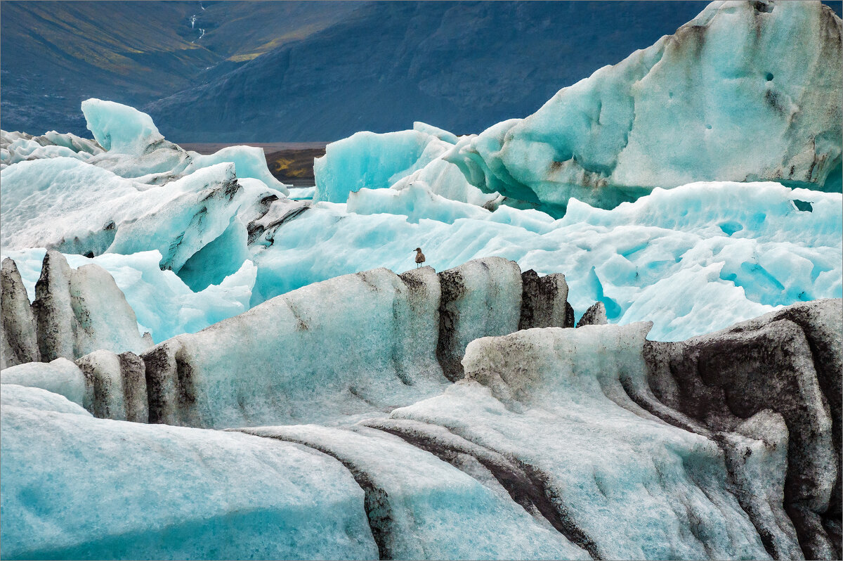 Ледниковая лагуна (2) - Shapiro Svetlana 