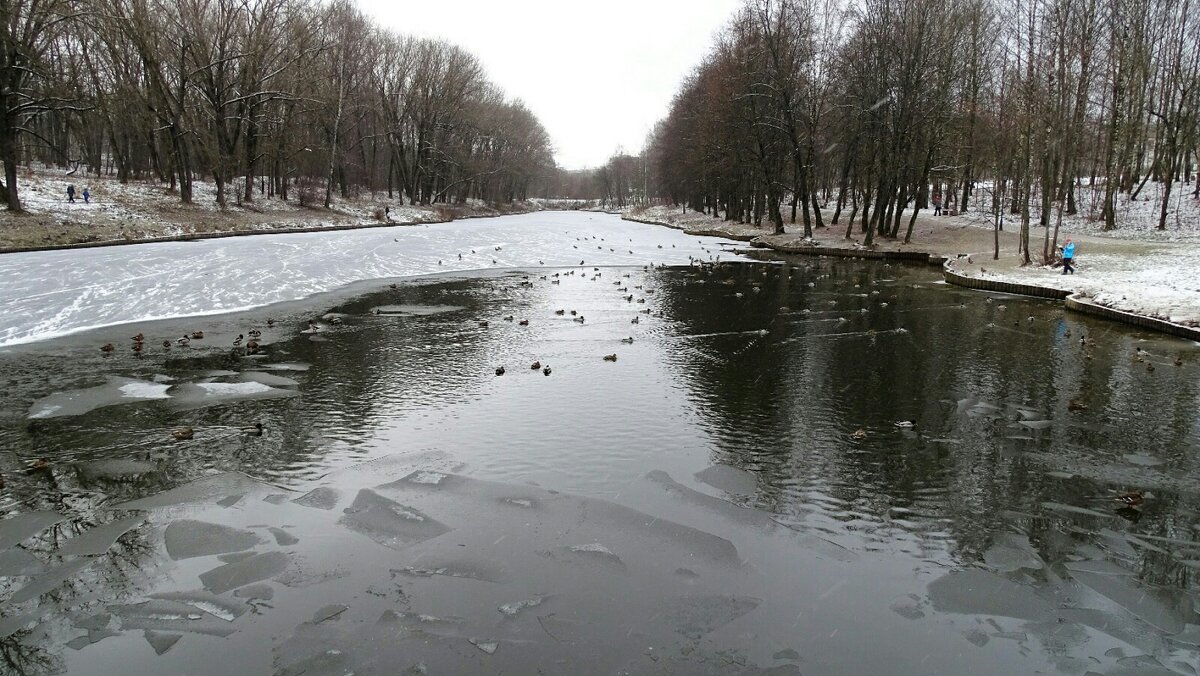 Замерзающий пруд в городском парке. - Милешкин Владимир Алексеевич 