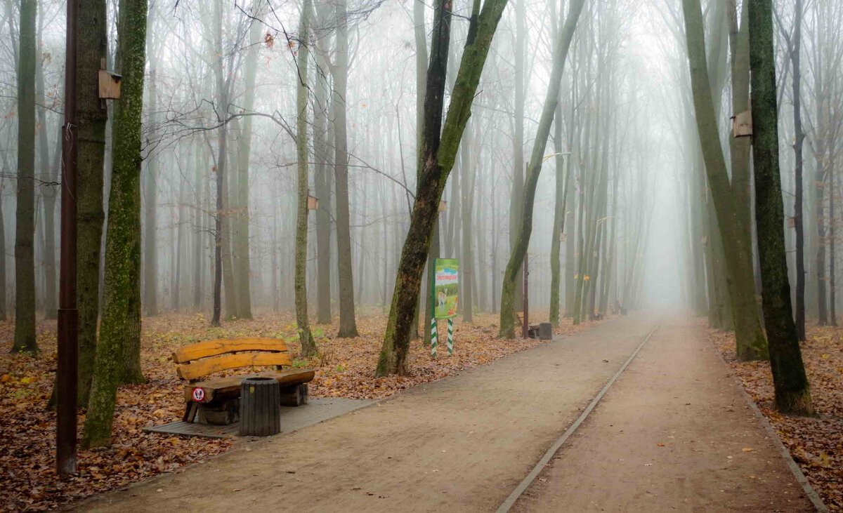 туман в осеннем парке - юрий иванов 