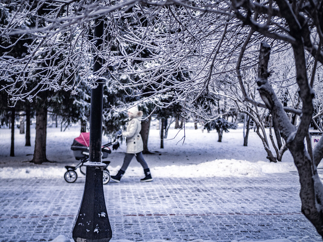 Зима в Новосибирске - Елена Берсенёва