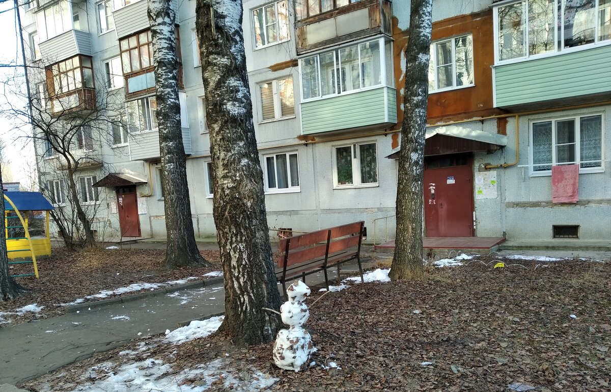 Первый снеговик - Галина 