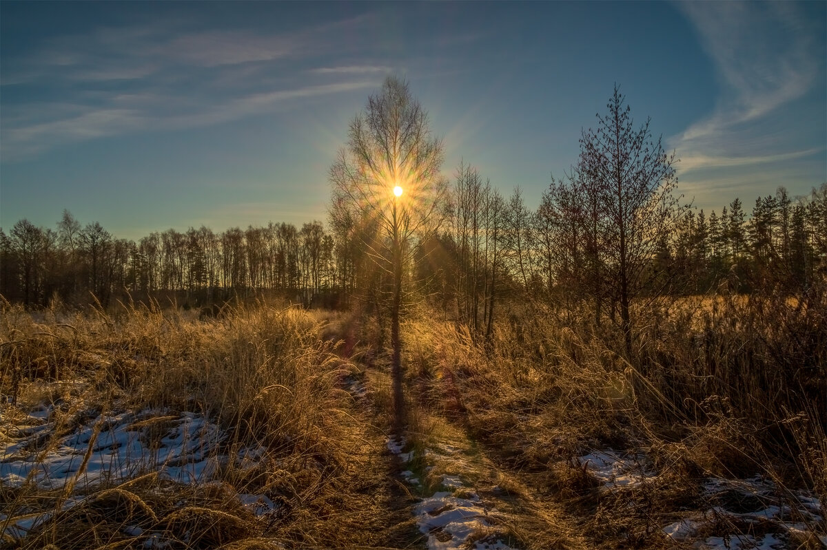Морозное утро декабря - Андрей Дворников