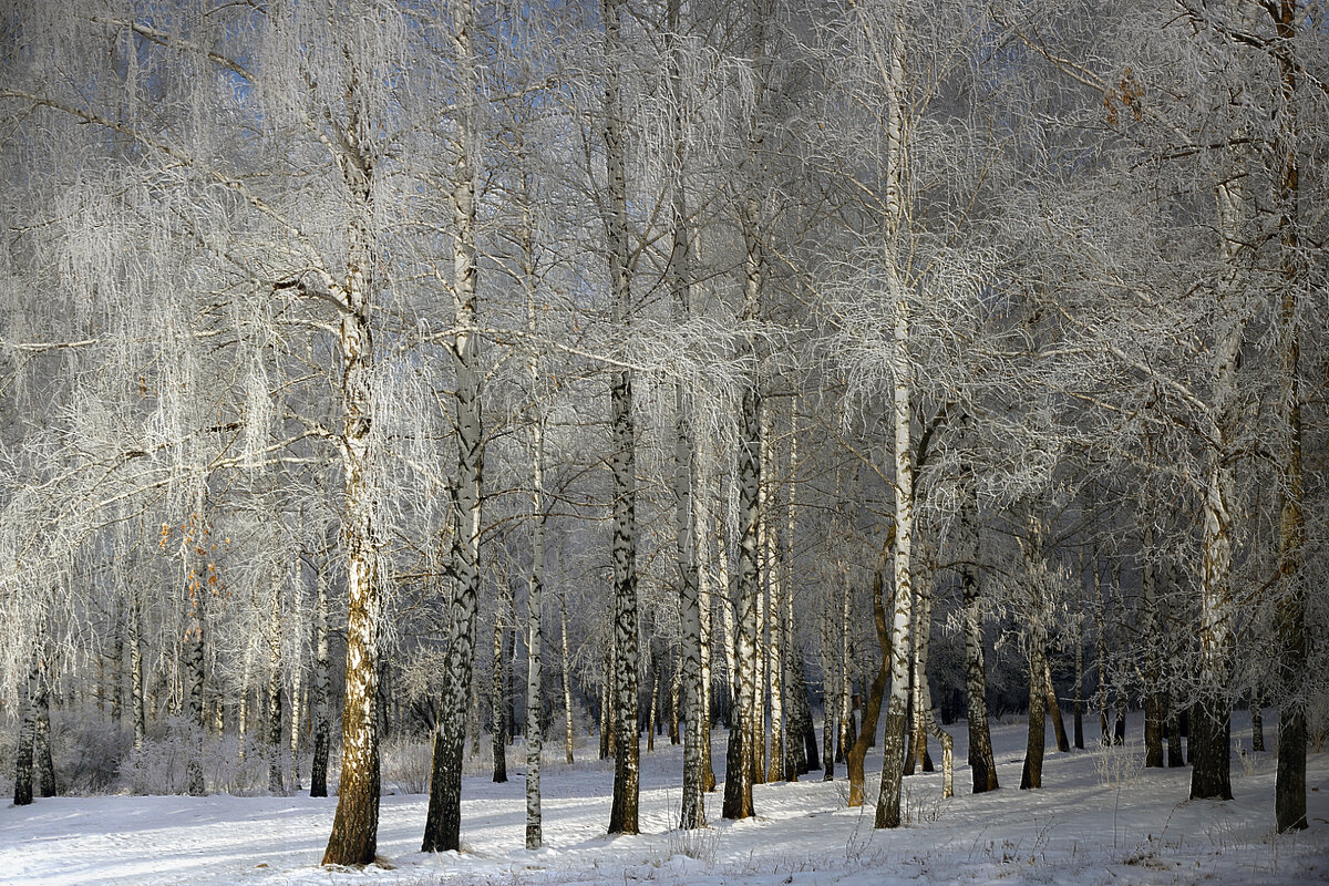 Зима наступает - Olenka 