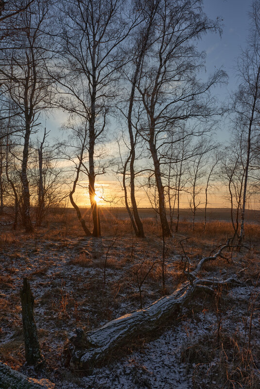 Валежник - Женя Лузгин