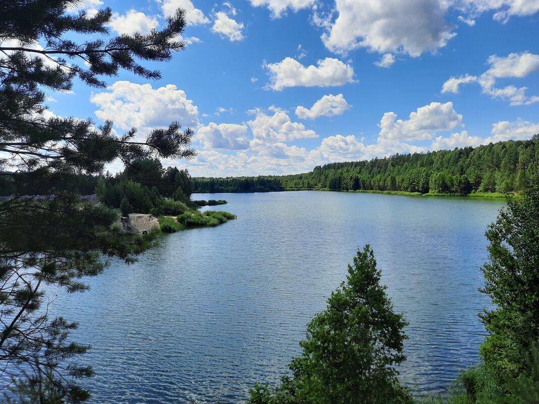 Лесное озеро - Мария Гуськова