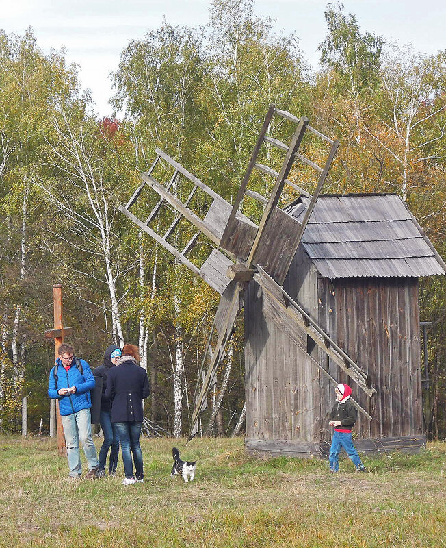 Не пришлась ко двору... - Тамара Бедай 