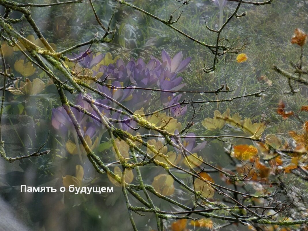 после зимы снова приходит весна - Heinz Thorns