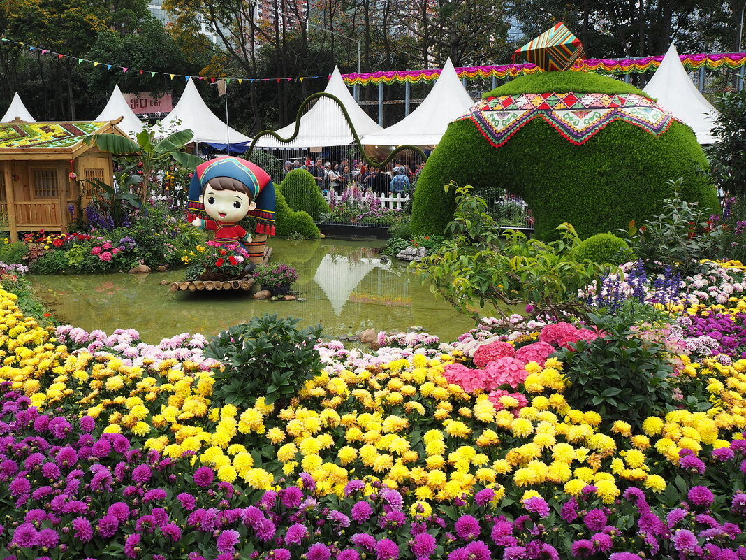 Гонконг "Парк Виктория" - цветочное шоу Hong Kong Flower Show Victoria Park - wea *