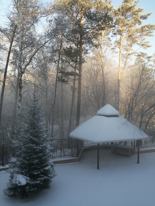 Морозный туман -20 Новосибирск. - ОКСАНА ЮРЬЕВНА ШВЕЦ