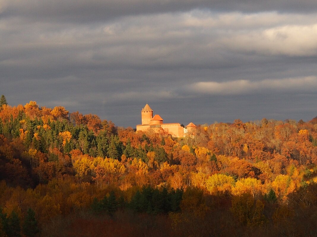 Золотая осень в Сигулде. Замок Турайда Turaidas pils Латвия - wea *