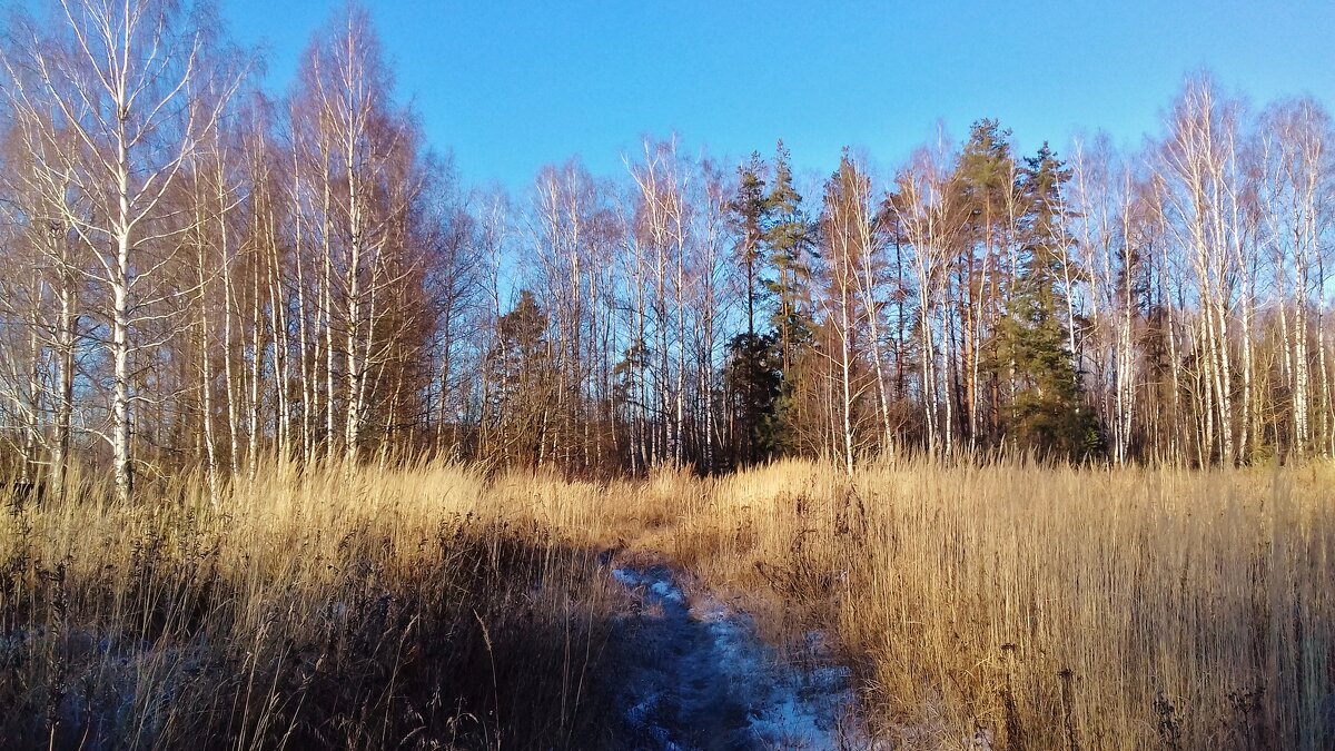 зимняя природа - Владимир 