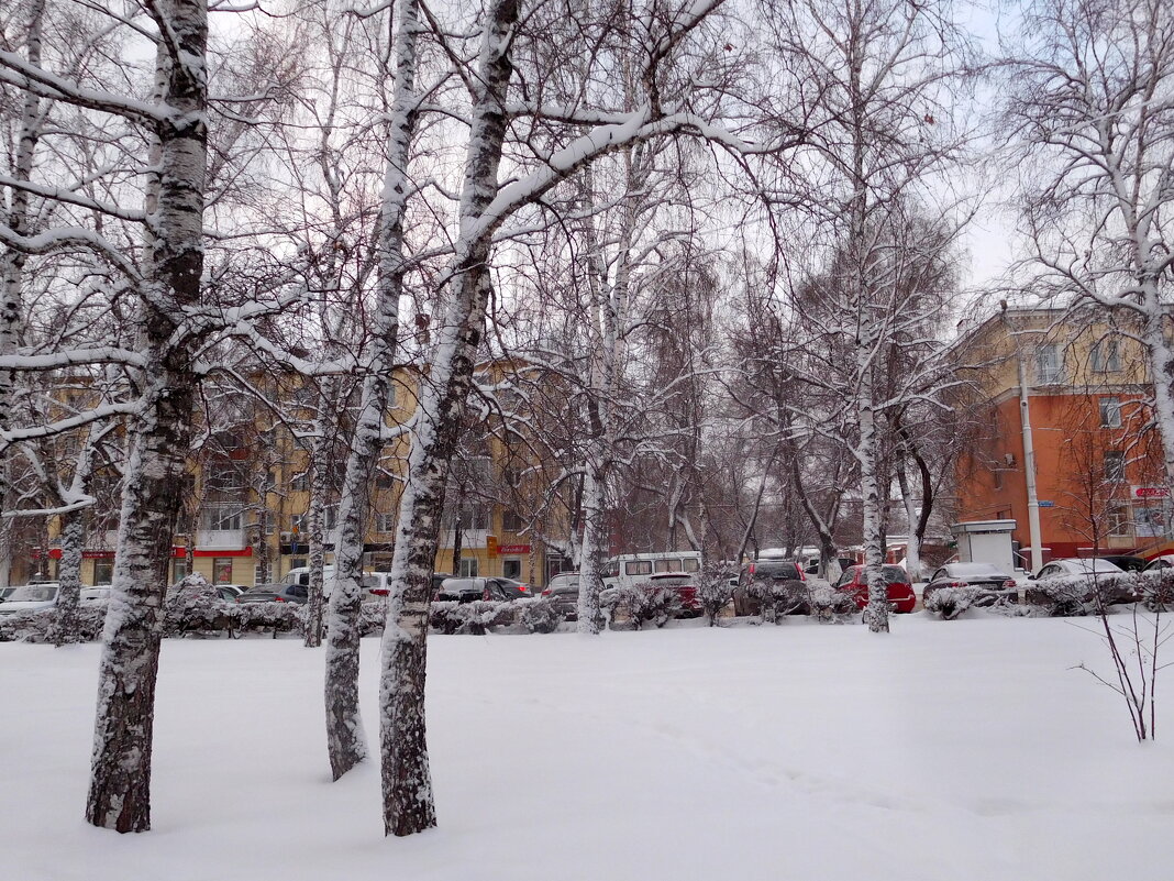 Зима в городе - ирина 