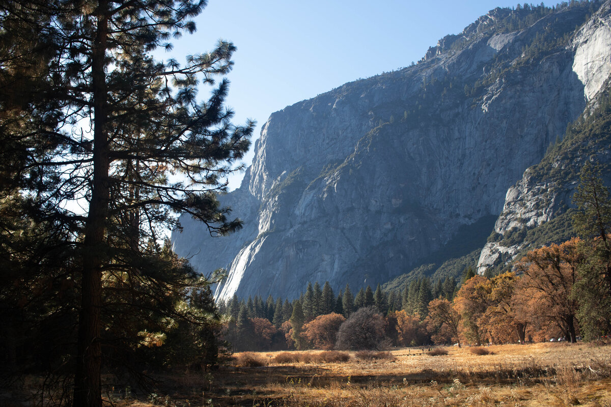 Yosemite National Park - Ekaterina Zaitseva