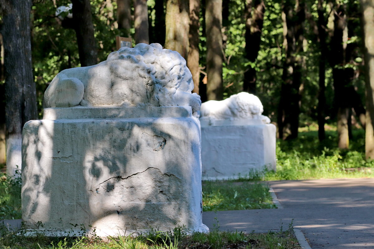 Львы на охране парка. - Сергей Пиголкин