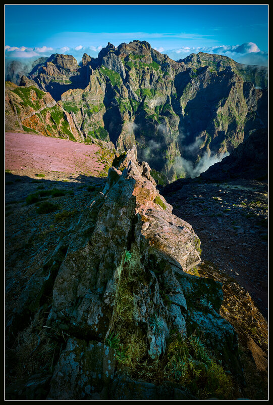 Madeira 2015. - Jossif Braschinsky