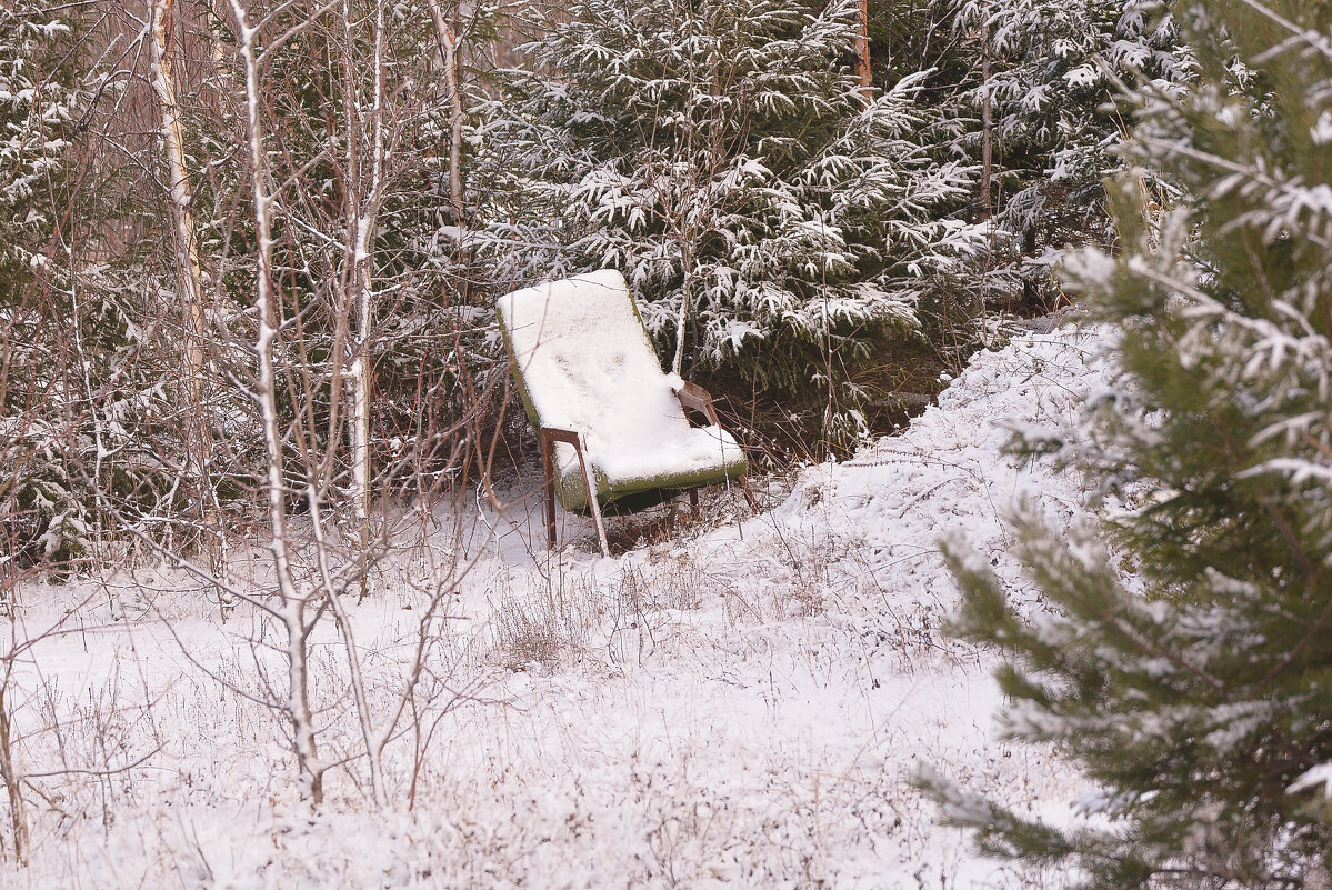 кресло на опушке леса для усталого  путника - леонид логинов