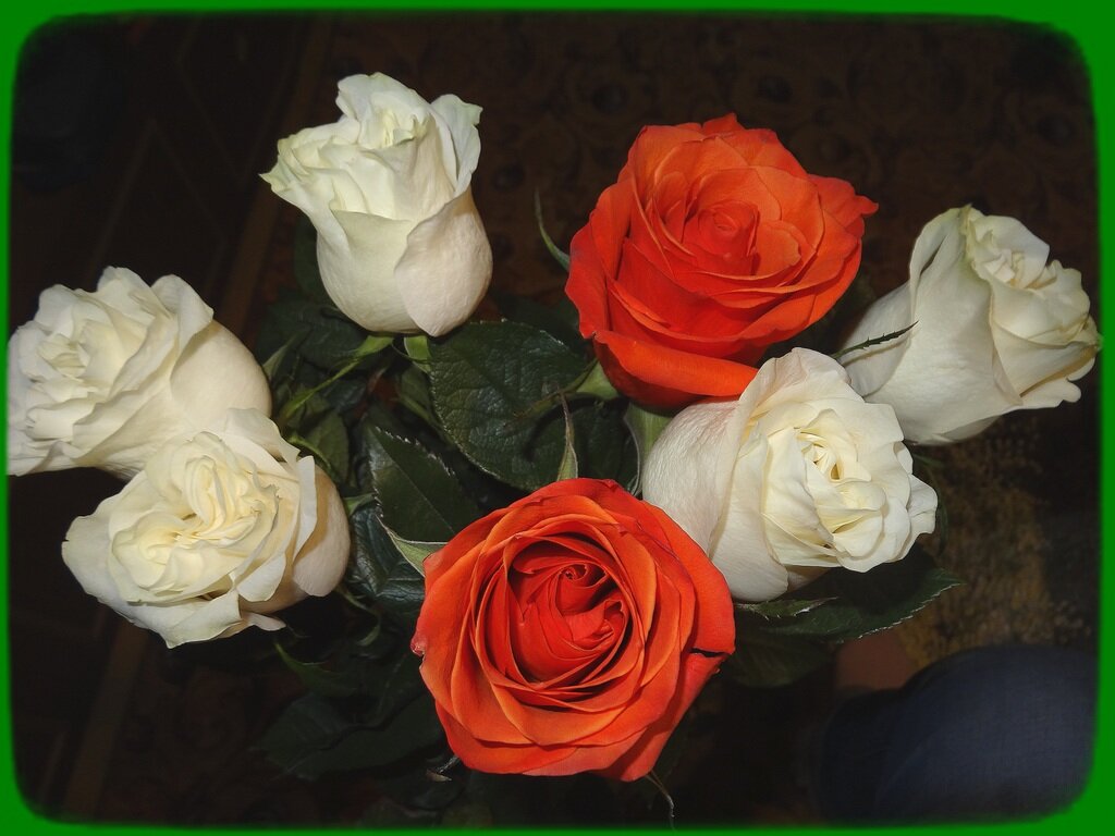 Букет роз в подарок - Натала ***