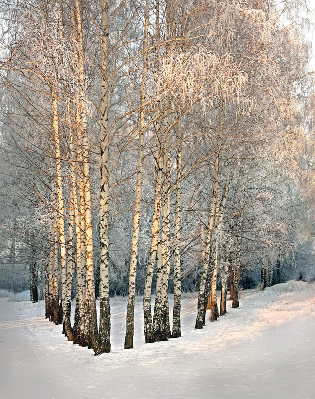 Морозный закат - Olenka 