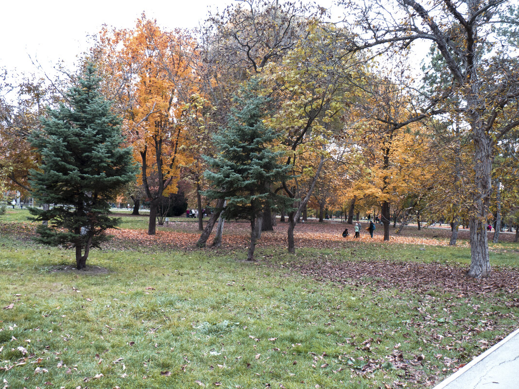 Осень в Гагаринском  парке - Валентин Семчишин