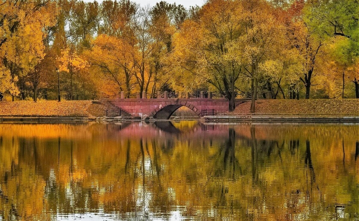 Осень - Вадим Ефимчик