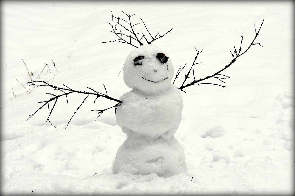 Снежный человек - Сергей 