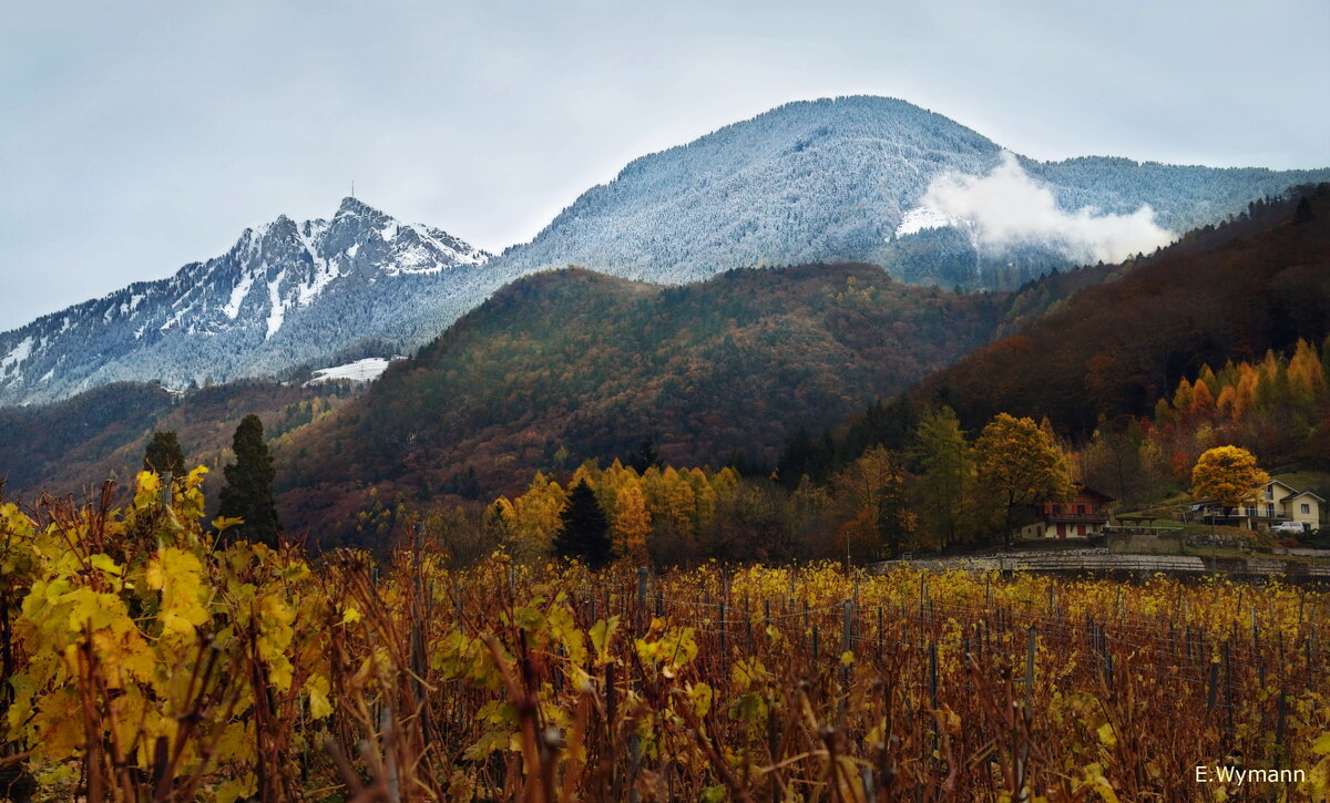 autumn - Elena Wymann