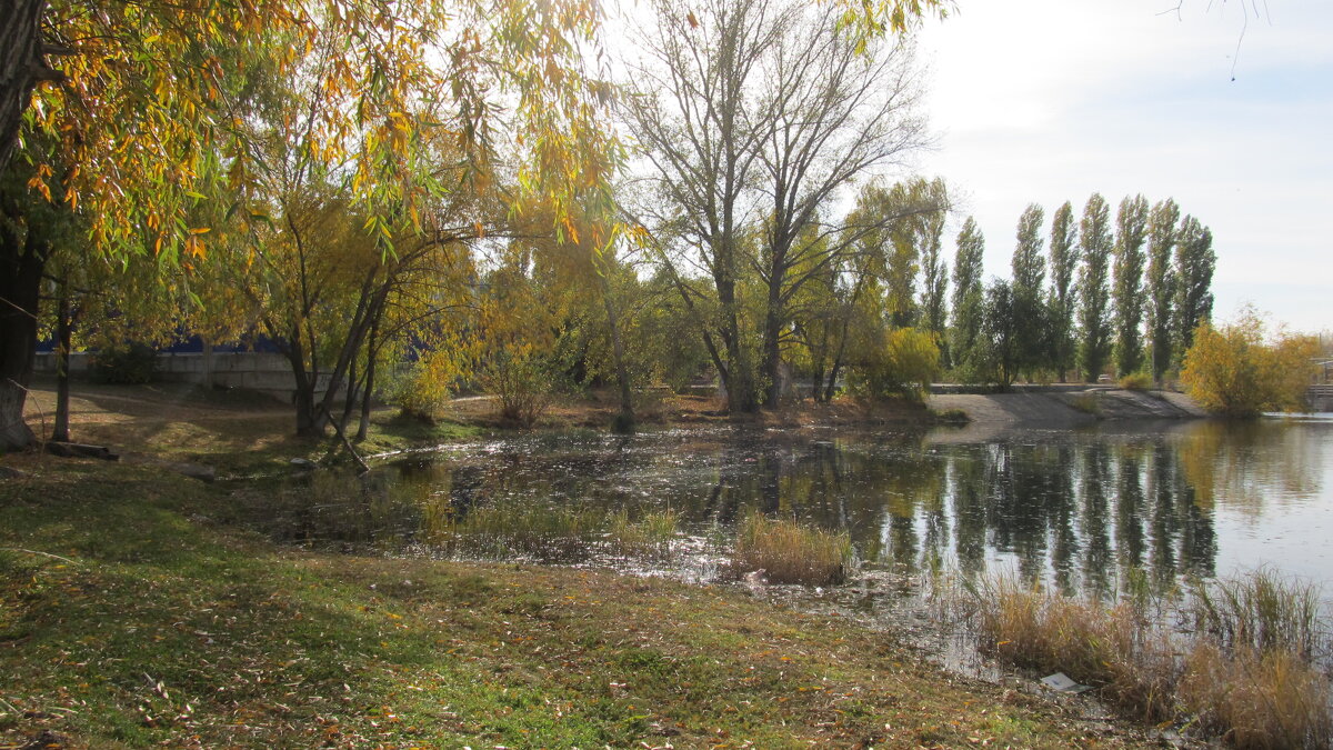 октябрь на городском пляже - Елена Шаламова