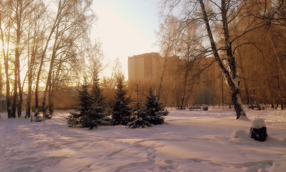 Январь в городе. - Мила Бовкун