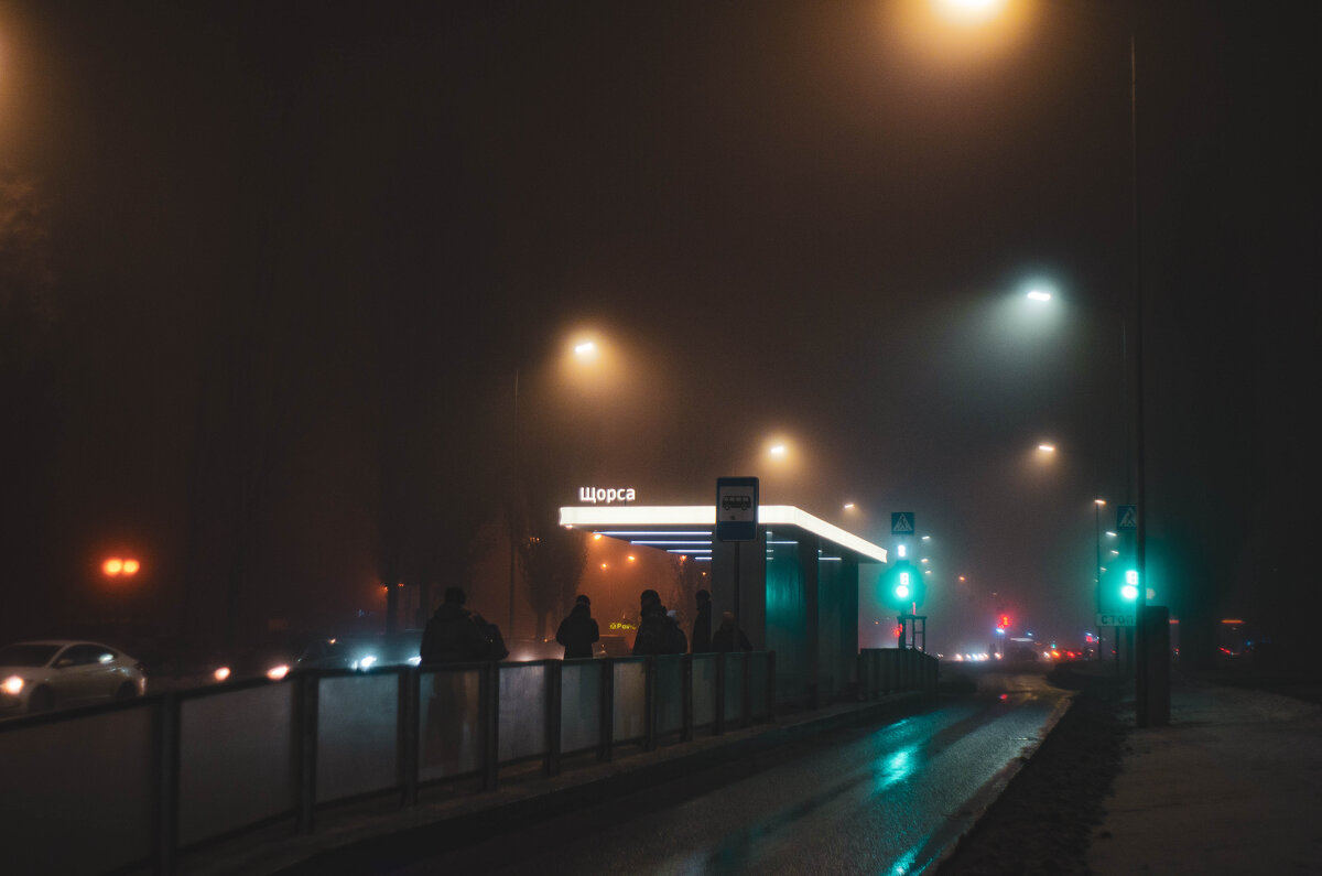 Город в тумане - Александр Леонов