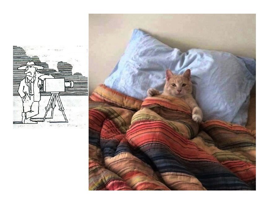 Спальня кота Осипа - Борис 