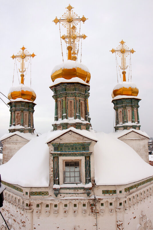 купола Свято-Троицкого собора - Евгений Тарасов 
