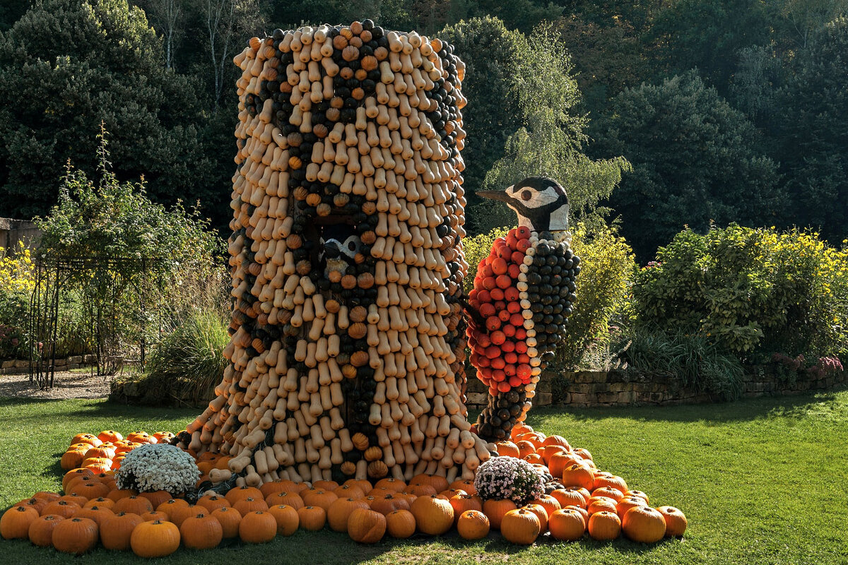 Тыквенный фестиваль / Kaiserslautern, Germany / - Bo Nik