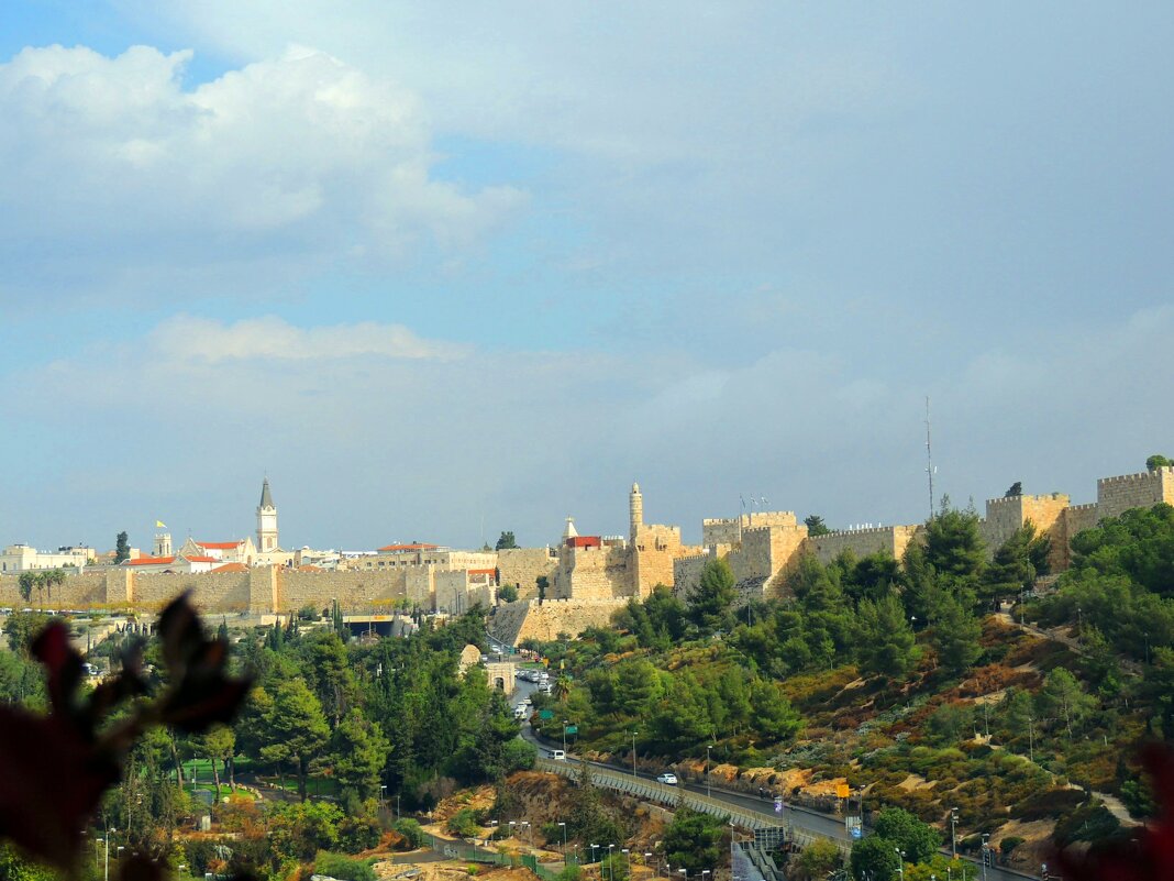 Стены и ворота  старого города. Иерусалим - Гала 