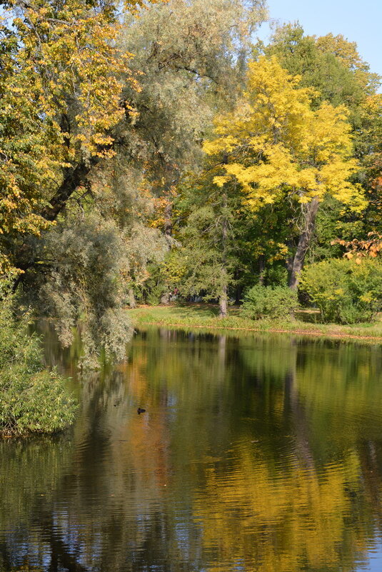 Царское Село. Александровский парк - Николай 