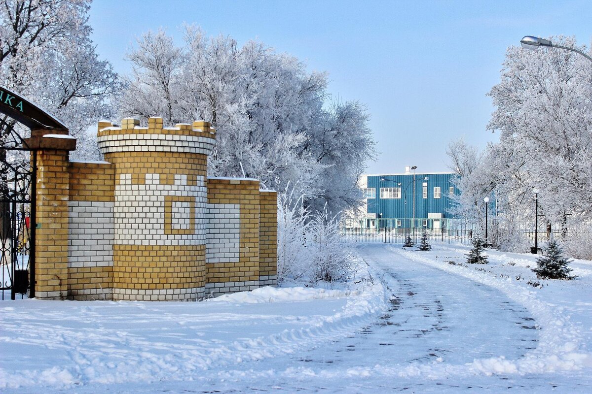 Зимняя сказка старого парка. - Восковых Анна Васильевна 