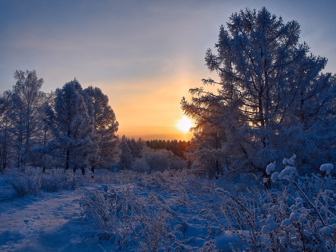 Зимнее холодное утро - Георгий Муравьев