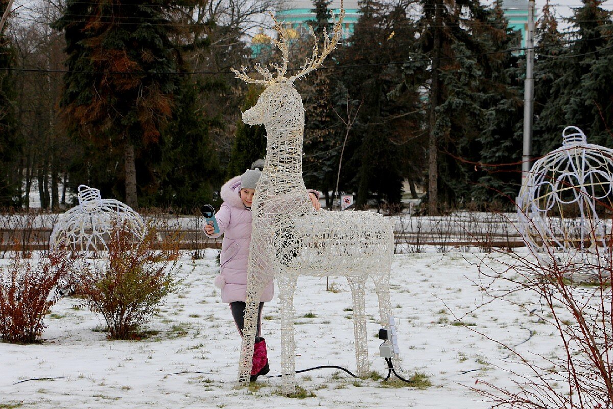 Новогодние инсталляции - Надежд@ Шавенкова