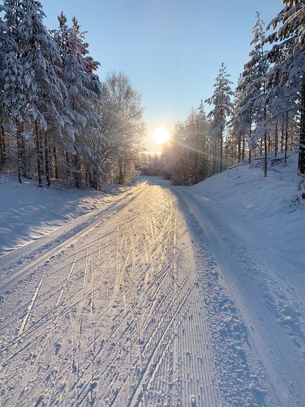 Лыжня в центральной Швеции Dalarna - wea *