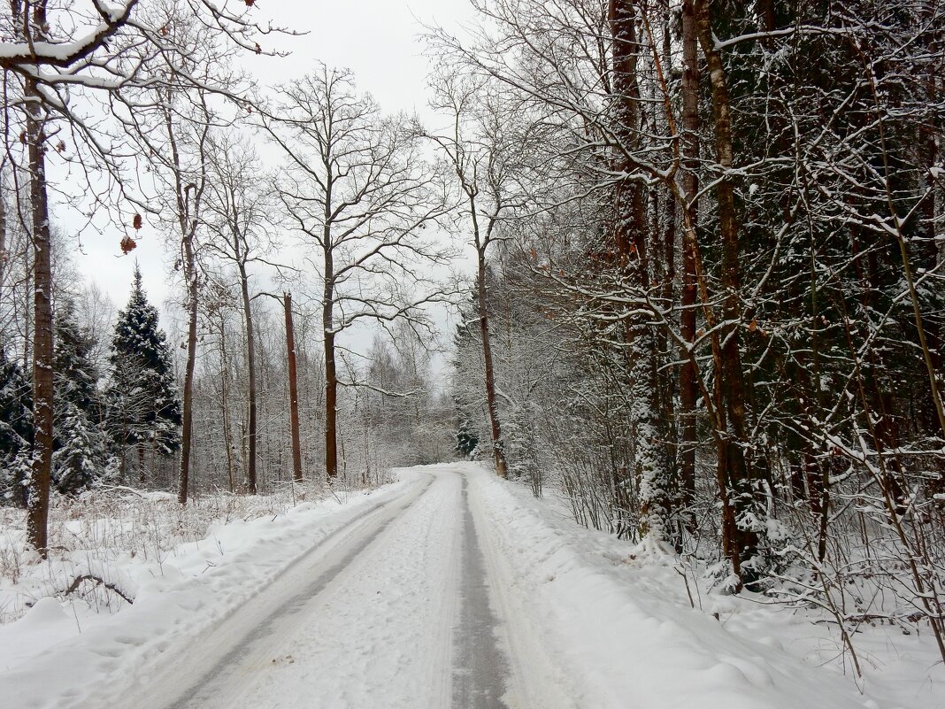 Зимняя дорога - ТаБу 