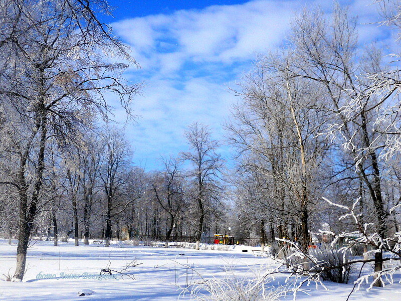 Чудесным зимним днём гуляя в парке.... - Восковых Анна Васильевна 