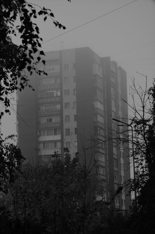 Туман - Николай Лис