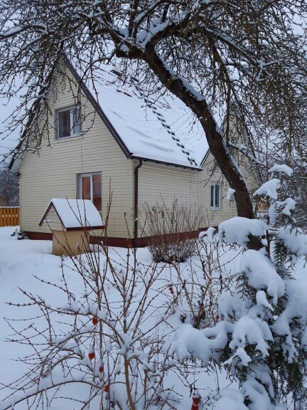 Lithuanian winter - silvestras gaiziunas gaiziunas
