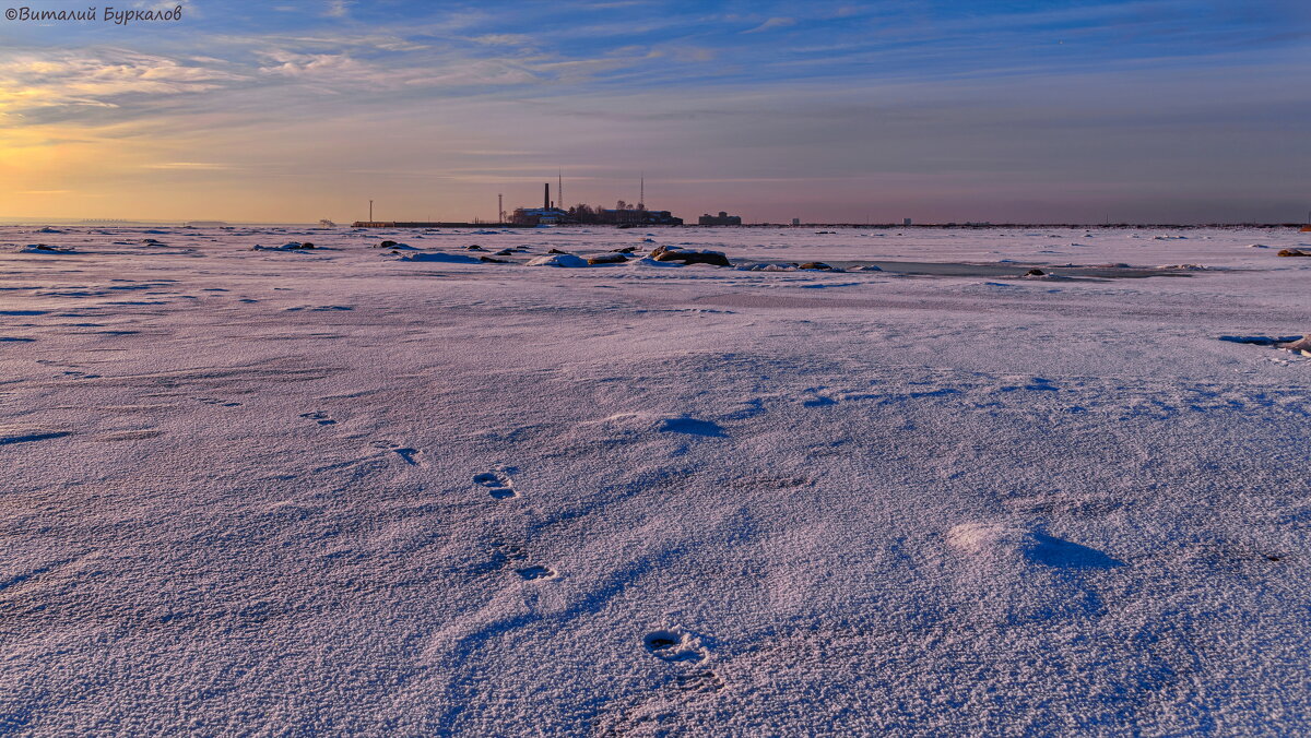Финский залив скован льдом... - Виталий Буркалов