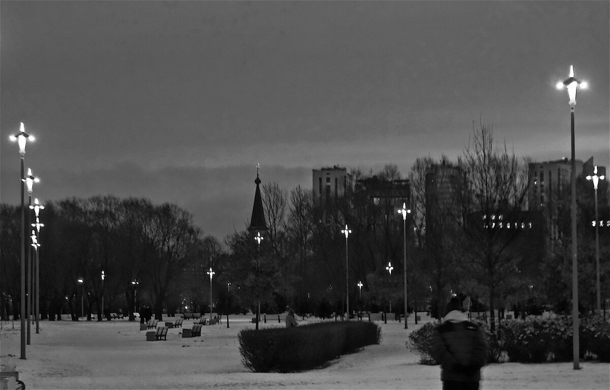 "кресты" в Пулковском парке - Елена 