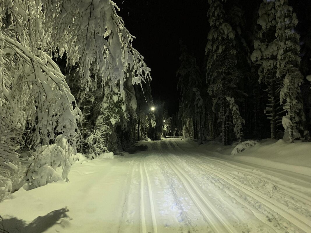 Январский вечер в Dalarna Швеция - wea *