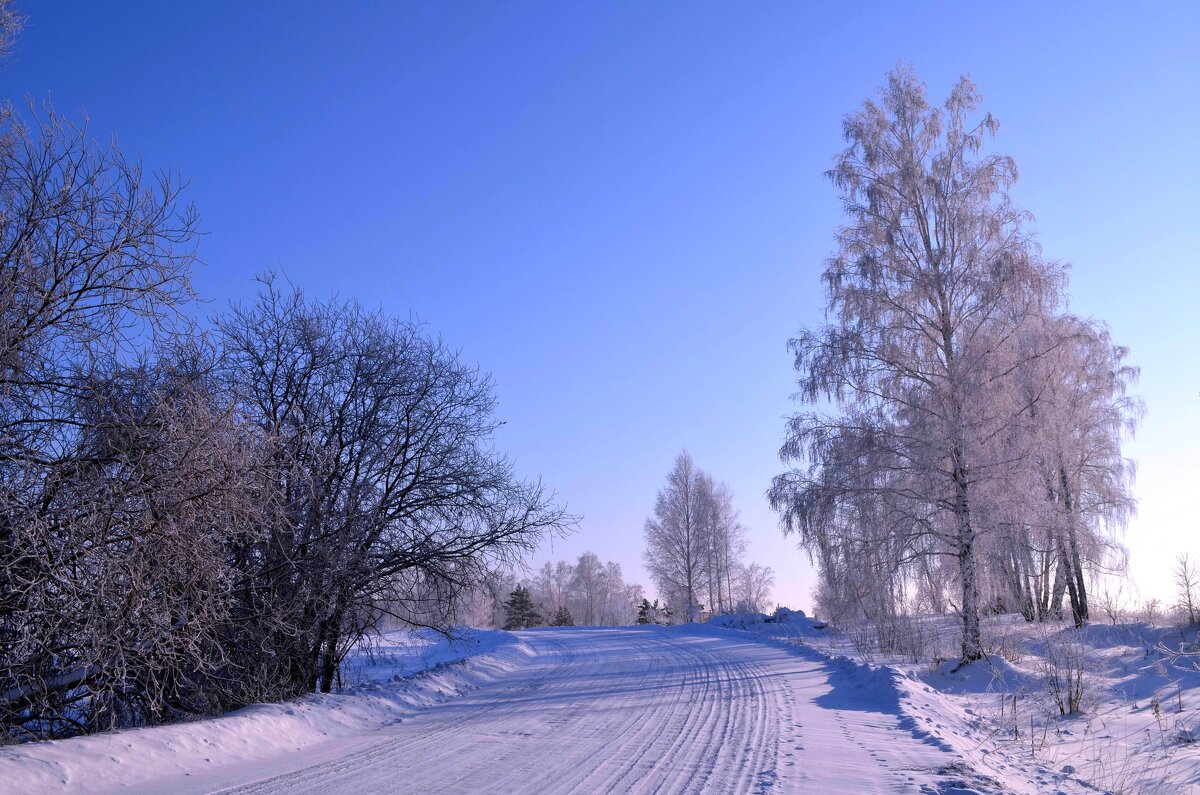 Зимняя дорога - Вера Андреева