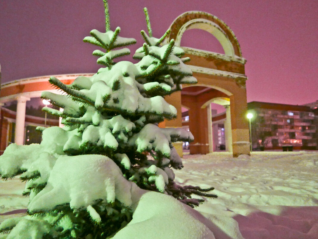 Зима в Снежинске - Стил Франс