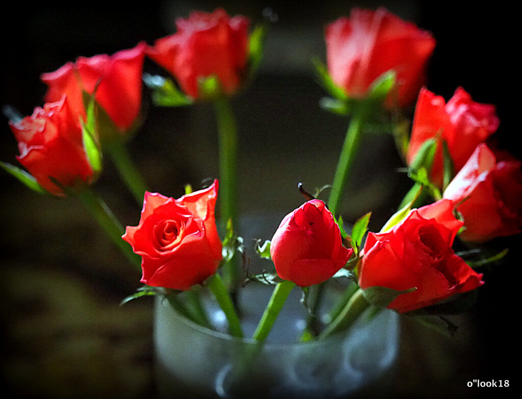 цветы для любимых - Олег Лукьянов